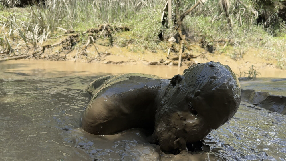 SHOT - MUD MOUTH #35