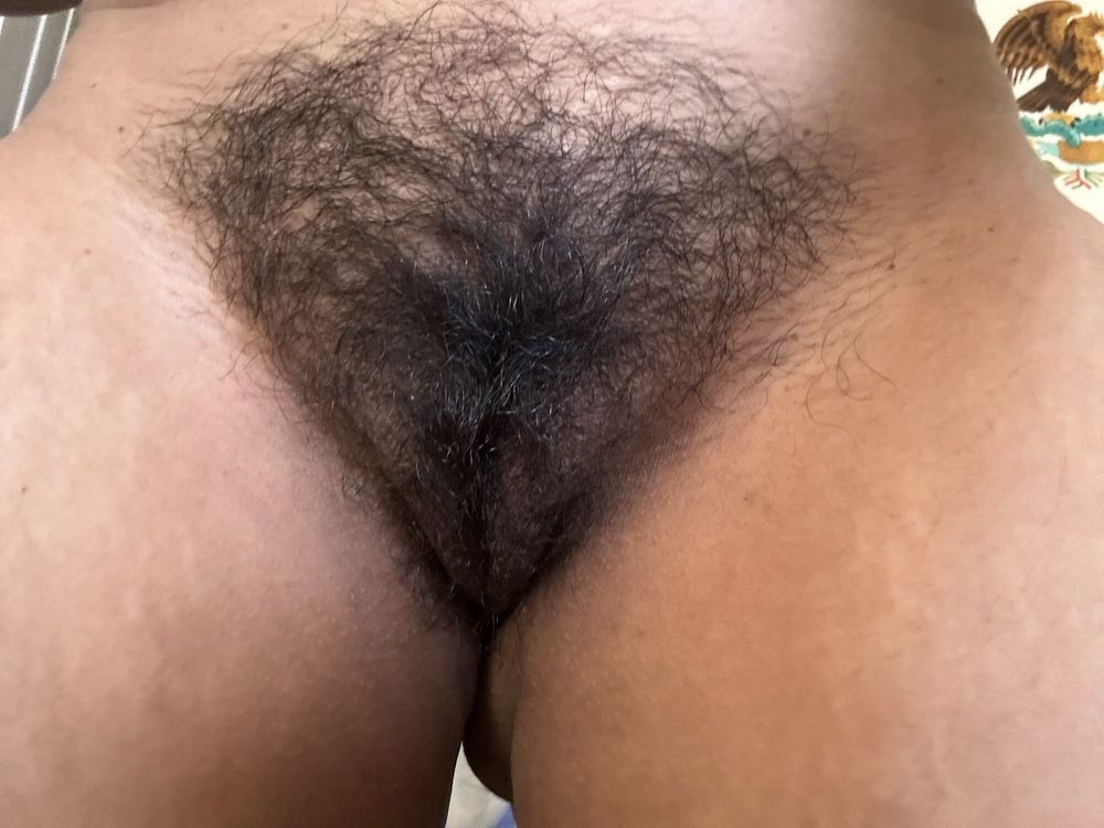 Hairy Latina pussy  #2