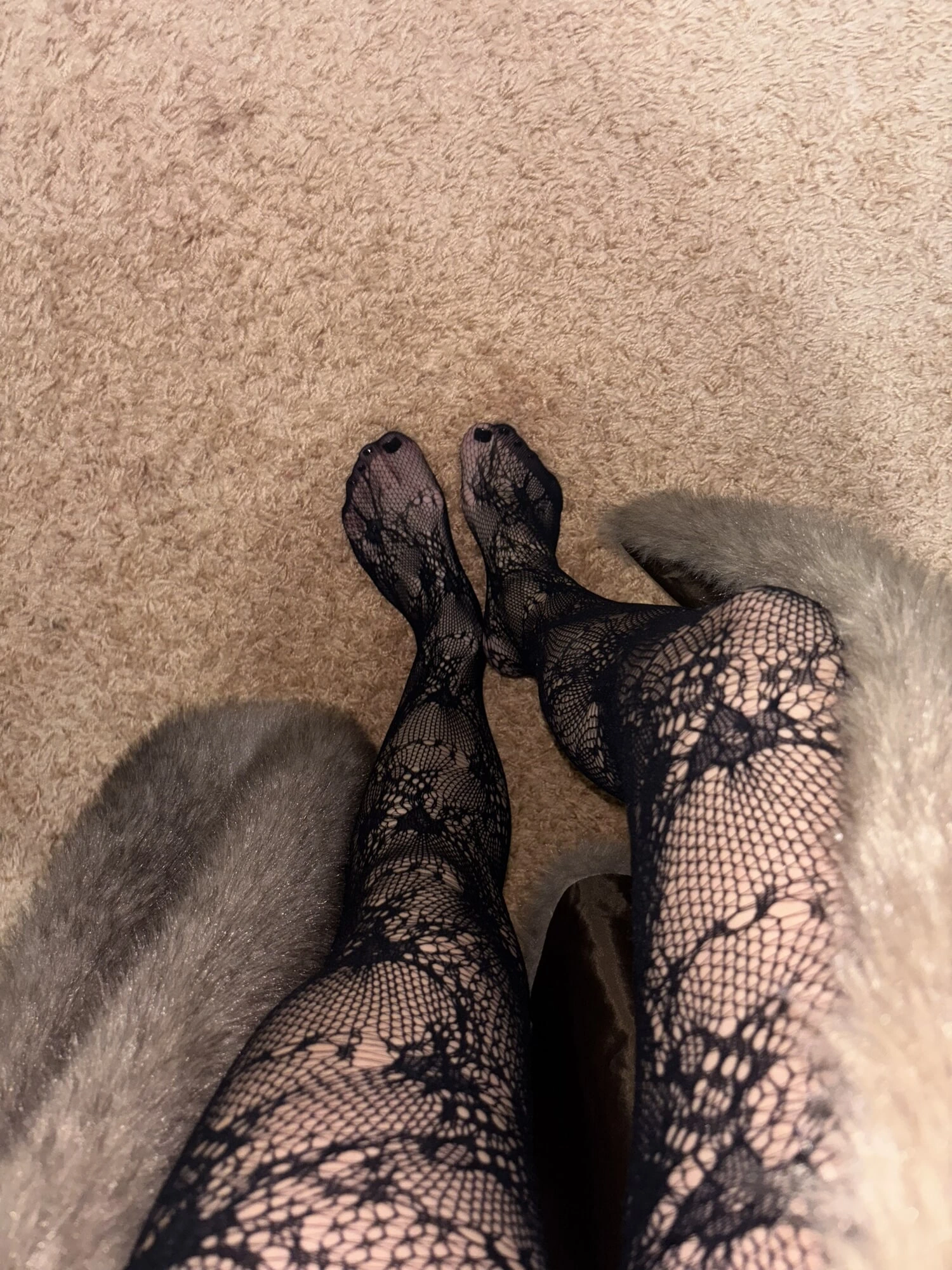 穿着性感丝袜和高跟鞋的长腿