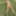 On the river bank, on the grass, in a public place without p #7