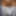 Bulgarian Cock Teaser #29