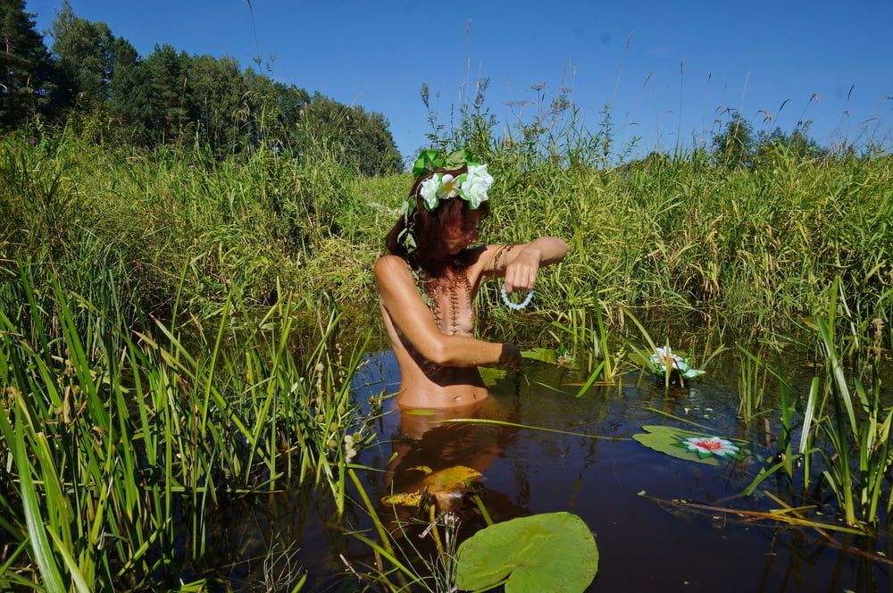 In pond with waterflowers #30