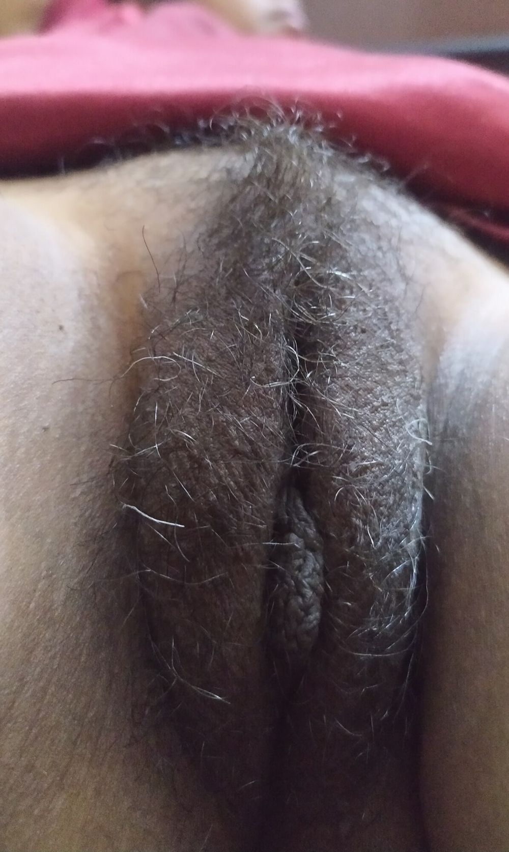 Desi gf hair chut #2