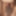 Newer Lewd Pics 2019 #3