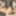 ASIANTGIRL: Bella Is Eager To Please!