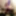Sissy femboy alone at home (2019) #2