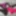 Crossdressing Collection - Panties #10