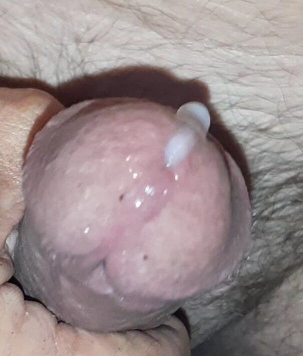 My cock #29