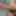 Closeup Cock