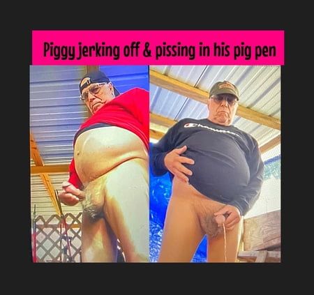 The pig jerking and pissing
