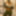 KolorfulLust Free Photos