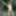 Cute teen Lolly posing nude in the tree #14