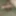 My dick
