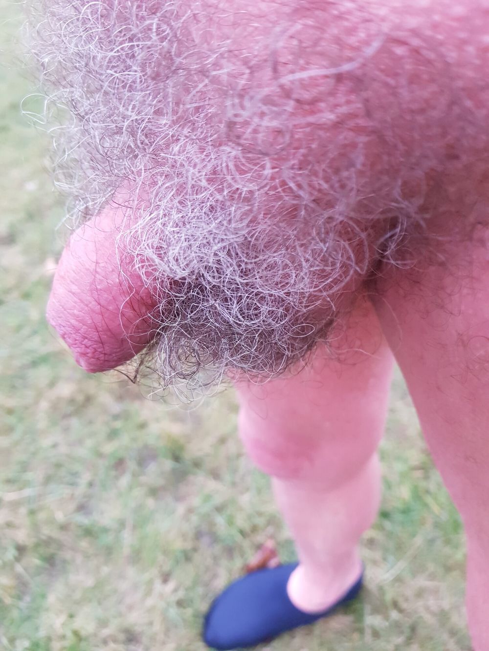 For hairy balls and pubes lovers #3