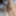 Very handsome hairy alpha male with a huge dick #5
