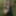 Photo project in the forest