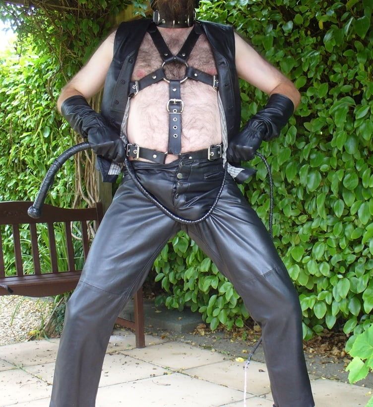 Leather Master outdoors in harness with whip #18