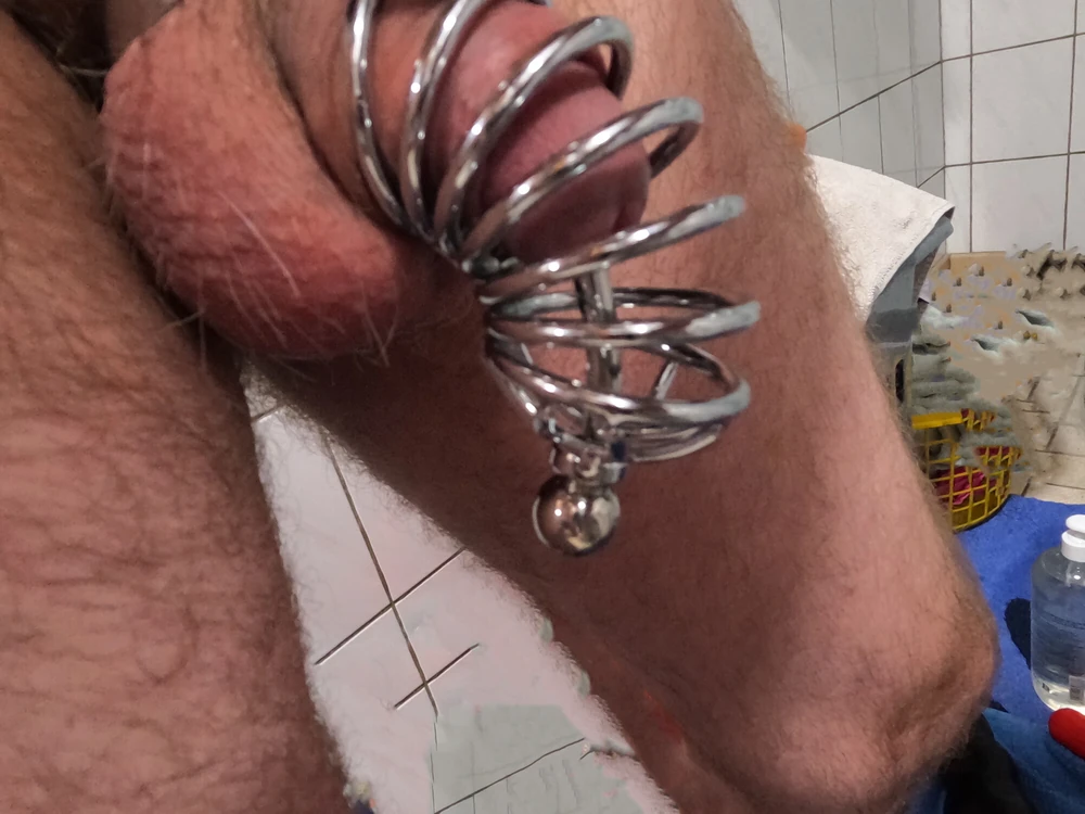 dick chastity cage #4