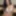 JESSA FOX Free Photos