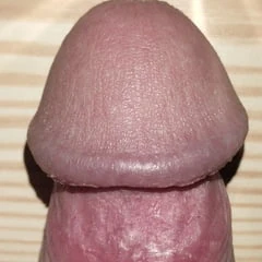Close up dick on table