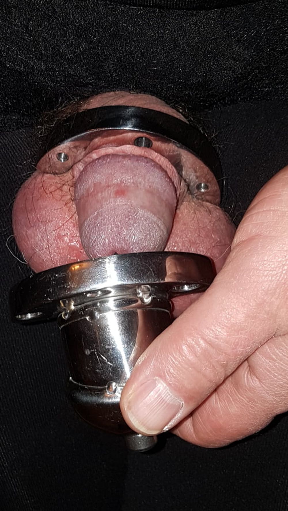 Chastity cage #24