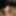 Pics of my cock 