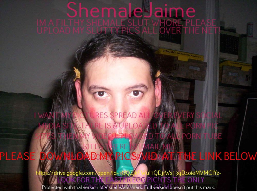 ShemaleJaime #15