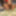Indian Girl Fucked Hard in jungle by His Boyfriend #15