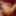 www.suomipornoa.net  finland sweden norway denmark - nordic 