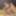 Mother and not her daughter lesbian play after shower #37