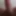 Shaved cock