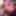 BBW Wife Miss Lizz Outdoor Blowjob, Meeting in the Park