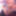 Max Magnummann Hung Stud New GIFS