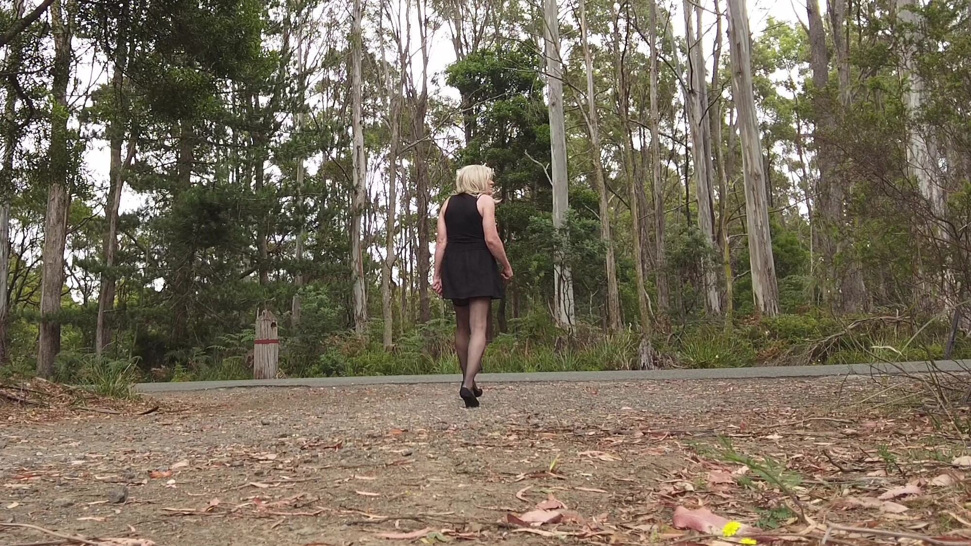 Crossdress Roadtrip - Forest Road Pantie Drop #3