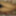 Some Random shots for my lovely subscribers #6