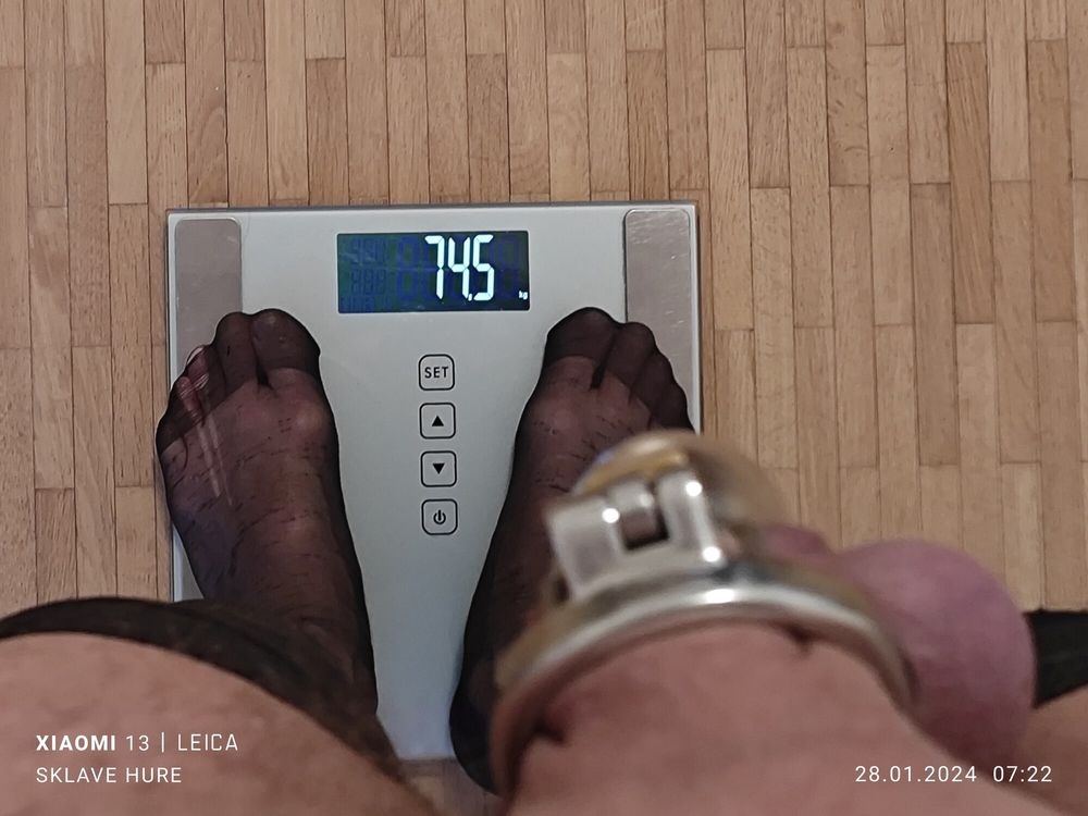 Mandatory weighing cagecheck January 28, 2024 #23