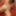 Lily Leigh&#039;s Intimate Playtime #2 (Part 4 of 4) #15