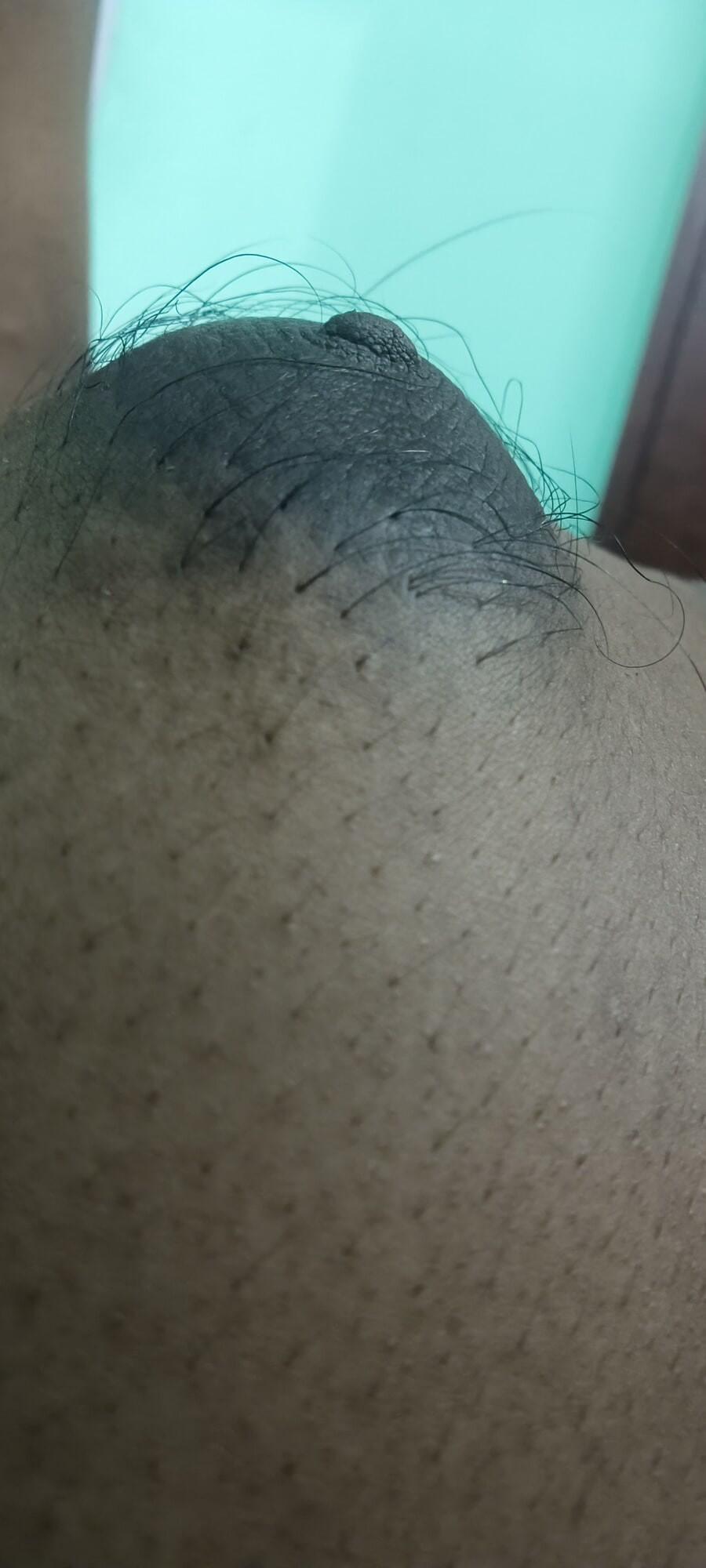 Closeup  #4