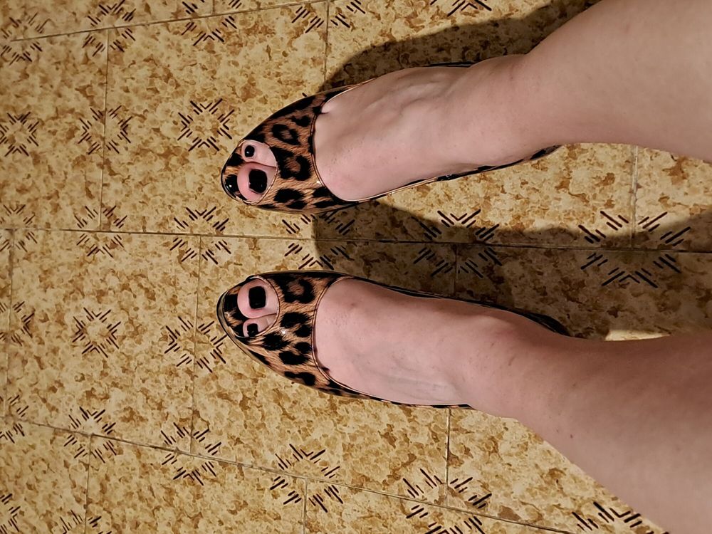 In Leopard #4