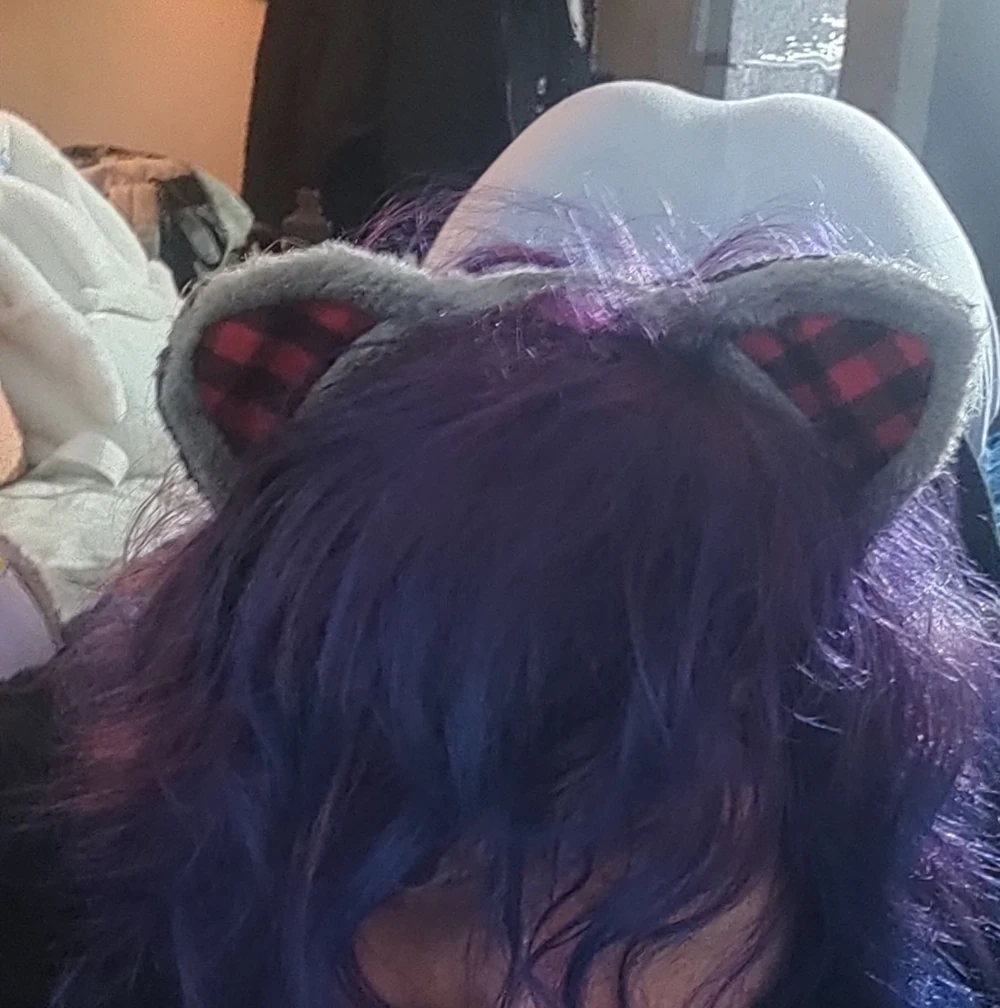 Kittywolf😽 #2