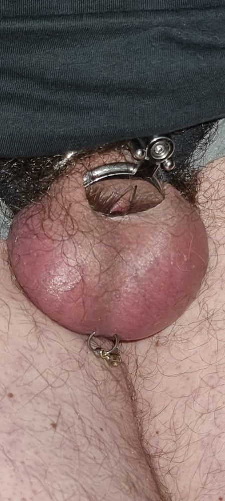 My new chastity cage after 2 days #2