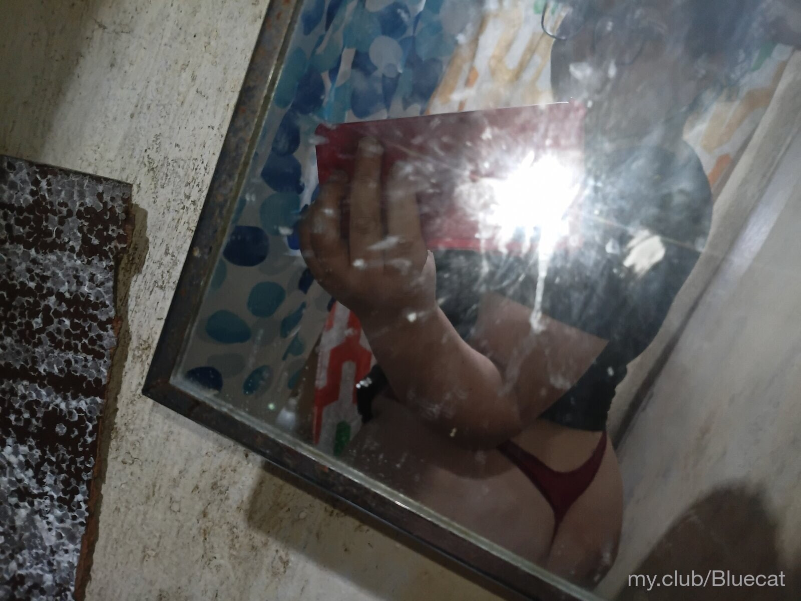 Free Bluecat Photos #9