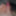 ディックの写真