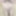 July 14, 2024. Daily duty of the naked slave #10