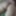 photo of my stepmother&#039;s ass