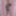 Joanie - Oh La La Cheri Floral Embroidered Lingerie #2