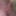 ナイロン、パンティ、ペニスのスビック