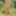 In nature, in the forest, without clothes, without panties.