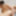 Marin :: Soapland 7 - CARIBBEANCOM #18