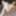 GROOBYCLUB: Nikki Kittens Is The Cat&#039;s Meow! #3